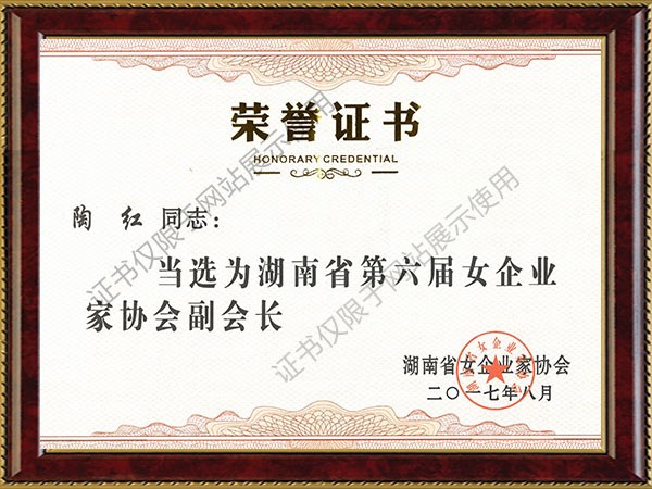 2017年湖南省第六届女企业家学会副会长